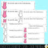 Easter Diversity Lesson and Activity with Digital Version